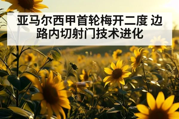 亚马尔西甲首轮梅开二度 边路内切射门技术进化 | hth