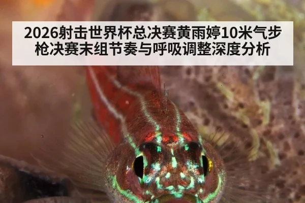 2026射击世界杯总决赛黄雨婷10米气步枪决赛末组节奏与呼吸调整深度分析 | hth